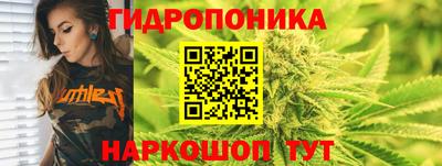 mdma Бийск