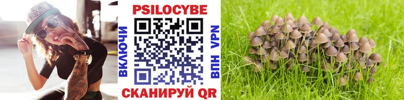 Галлюциногенные грибы прущие грибы Бузулук