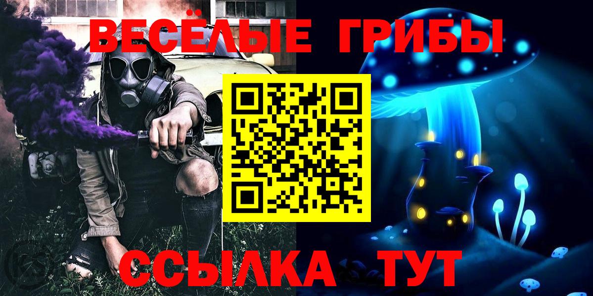 как найти наркотики  Бузулук  Псилоцибиновые грибы Magic Shrooms 