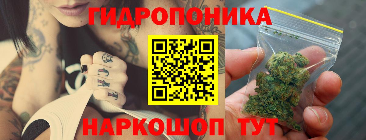 Шишки марихуана планчик Бузулук
